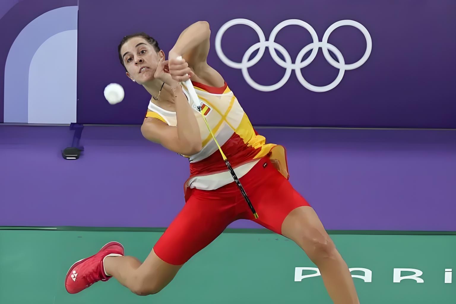 法国羽毛球队血洗丹麦羽毛球队，马琳打破历史纪录的简单介绍