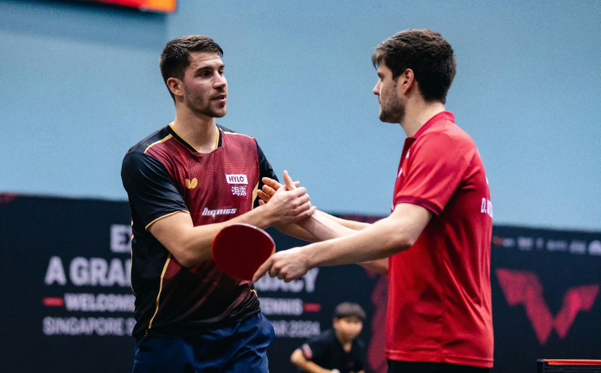 ac米兰体育官网-德国乒乓球队碾压波兰乒乓球队，奥恰洛夫高光表现的简单介绍