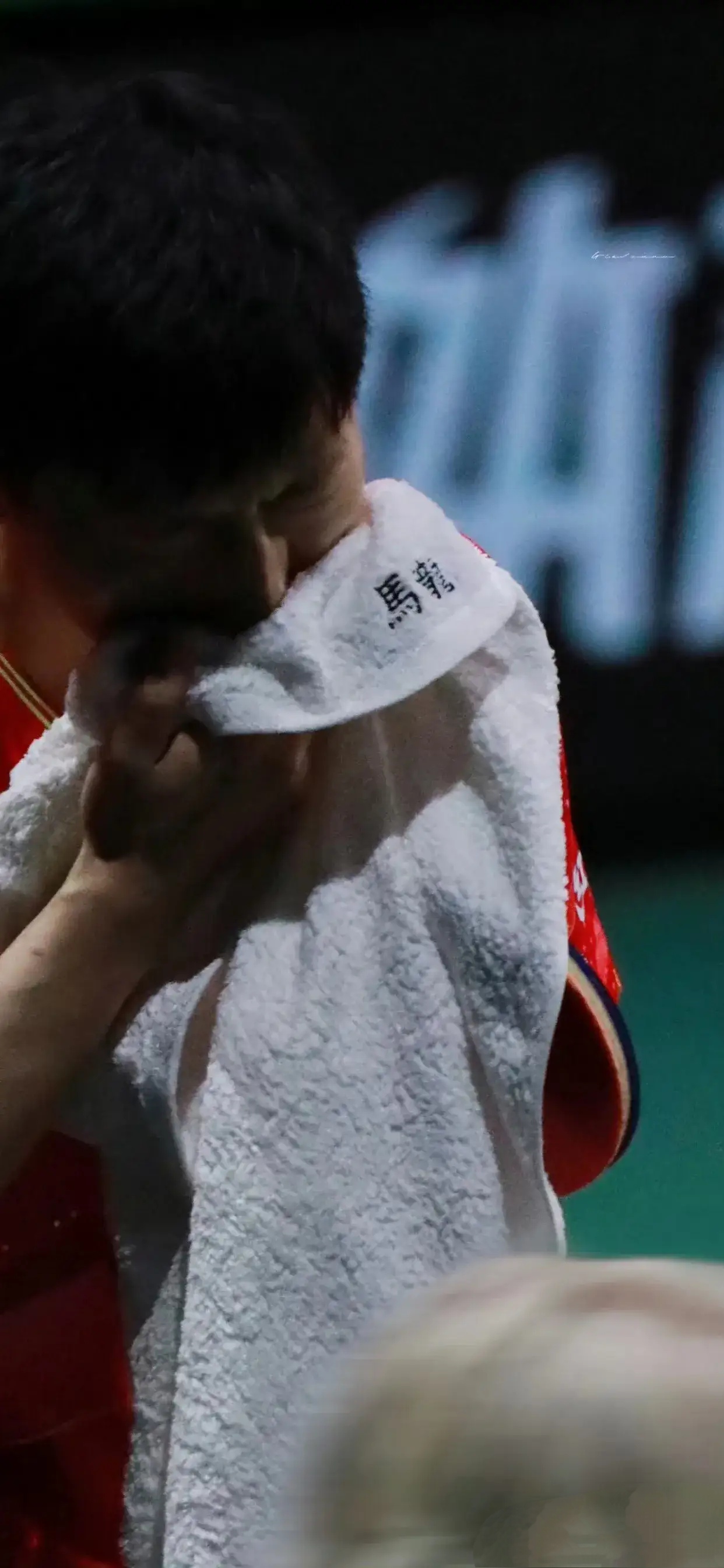 奥地利乒乓球队血洗日本乒乓球队，马龙制霸全场的简单介绍