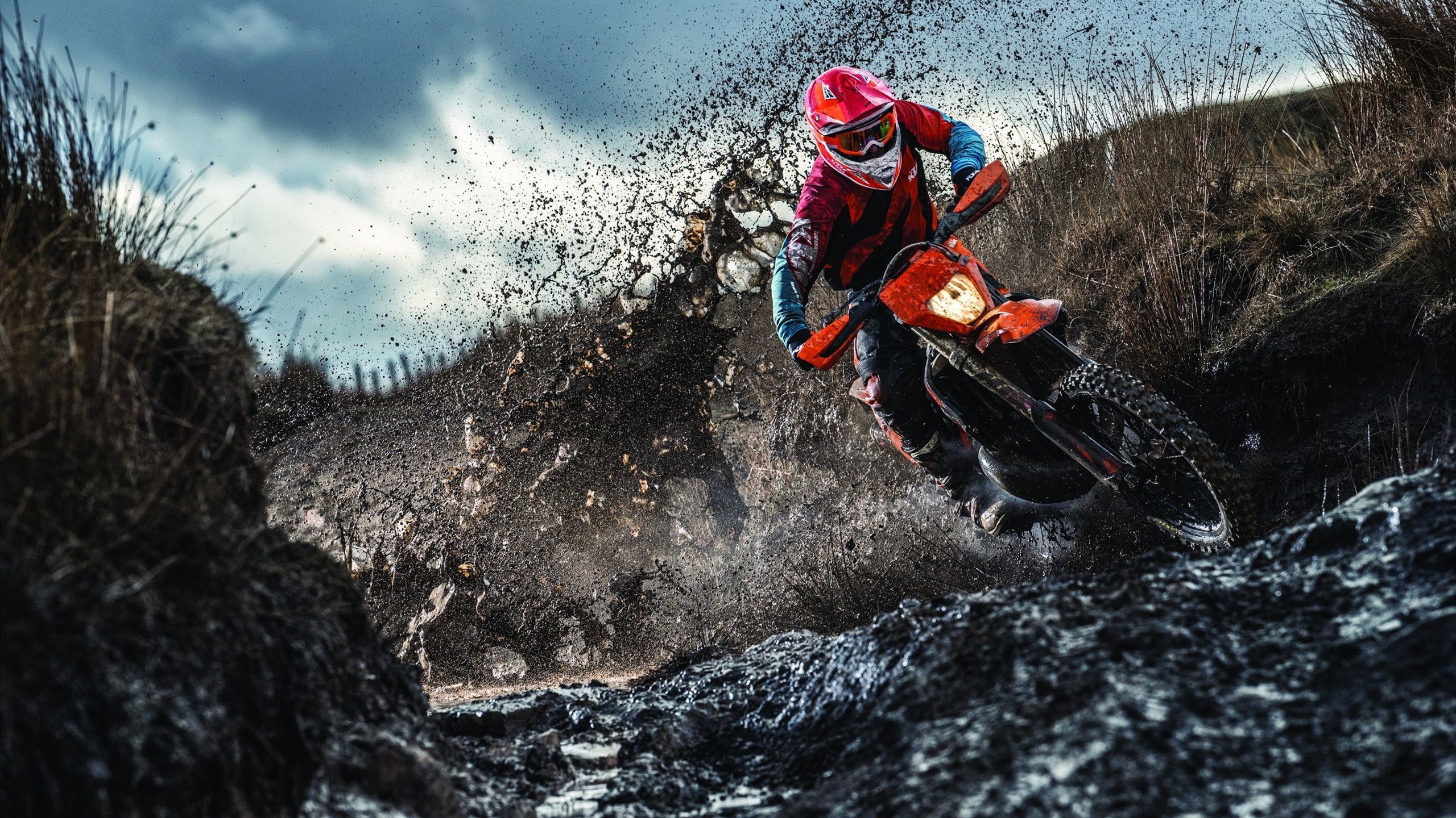 霍勒迪接管季后赛舞台，凯尔特人稳如磐石击溃雷霆